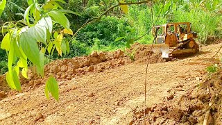 Advantages of D6R XL Bulldozer in Plantation Road Work