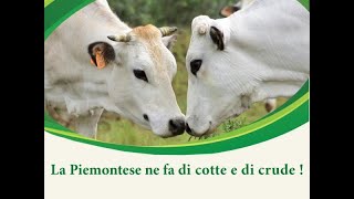 La piemontese ne fa di cotte e di crude. Simposio sulla piemontese.