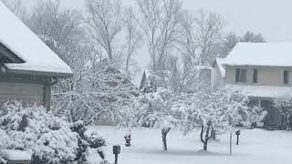 Snowy Day in America | அமெரிக்காவில் பனி மழை!