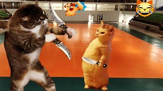 Pets Being Silly: A Compilation of Laughs 🐈😘 Funniest Catss 2024 🐱🤣