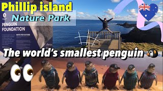 호주 멜버른 여행 필립 아일랜드 브이로그 Phillip Island Nature Parks #penguine parade 펭귄 🐧 Melbourne travel vlog