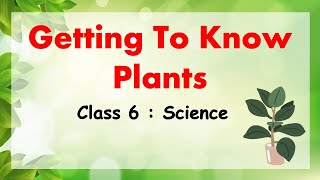 Getting To Know Plants | Class 6 : SCIENCE | CBSE / NCERT Science | Full Chapter Explained