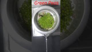 Matar Pulao Recipe || Peas Pulao Recipe || Green Peas Pulao || मटर का पुलाव