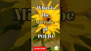 What is the Microbe of Polio #shorts #facts #biology #polio