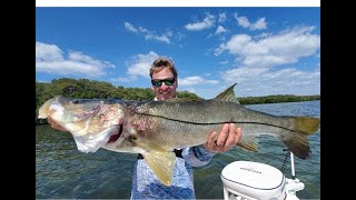 Giant Snook and Redfish Fishing - Epic Tampa Bay INSHORE FISHING