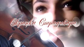 Скрипка Страдивари.Алла Голублевская.