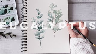 How To Paint Eucalyptus: Watercolor Techniques Explained