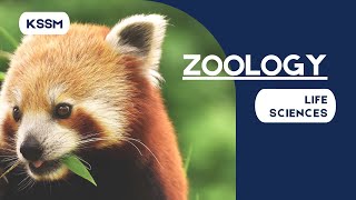 Life Sciences | Zoology