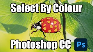 How to select by colour in Adobe Photoshop CC