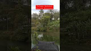 Telaga Bedakah Kertek Wonosobo #short #fyp #shorts #wisata #wisatawonosobo #wonosobo #telagabedakah