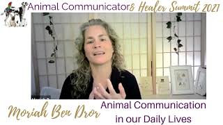 Moriah Ben Dror Animal Communication in our Daily Lives ACHS 2021 Promo Video