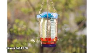 butterfly feeders