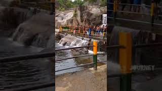 Manimuthar Falls #shorts #youtubeshorts #falls  #மணிமுத்தாறு/Link in first comment