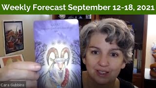 Animal Wisdom Tarot Deck Weekly Forecast September 12-18 Lighten up!