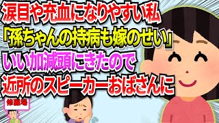 【修羅場】私はよく目のトラブルで充血したり涙目になる。私の目のことをトメがグチグチ言い出し、娘の事も言われたので無言で義実家を出た結果 #2ch #修羅場 #スレ