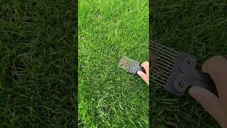 WAIT WHAT! This entire time! 😳 #trending #subscribe #howto #diy #tutorial  #lawncare