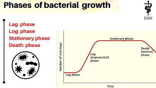 Phases of bacterial growth | Bacterial growth curve | microbiology |