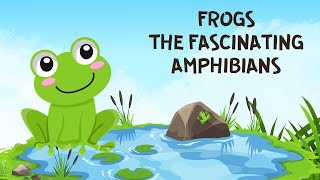 ALL ABOUT FROGS FOR KIDS | FROGS  FOR CHILDREN | FROGS - THE FASCINATING AMPHIBIANS | DONUT KIDS TV