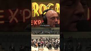 Mark Normand on oil/painting protestors #shorts #jre #marknormand