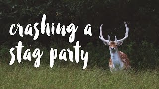 VLOG 22: CRASHING A STAG PARTY // Dorset Part 2