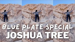 Blue Plate Special (V0 | Joshua Tree Beta