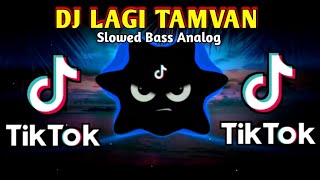 DJ LAGI TAMVAM X TIKTOK VIRAL MUSHUP (SLOWED BASS ANALOG) 2024 REMIX