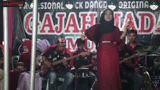 ICHA TARISHA || SATU RASA CINTA || GAJAHMADA MUSIK JEMBER