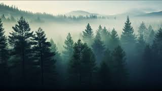 Jesse Gallagher - Spenta Mainyu 🌲 Wonderful Relaxing Music