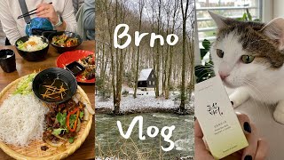 Brno, Czech Republic, Slow Weekend Vlog