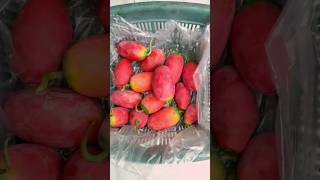 Harvesting Time #cactus #dragonfruit #gardening #fruits #shorts #satisfying