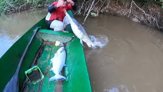 Parece que mamá nos trae mucha suerte , pesca y cocina de bagres con mamá!