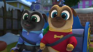 Puppy Dog Pals – Clip | Nine Lights Tonight!   | Disney Jr