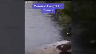 Mermaid caught on camera!? Is it real?