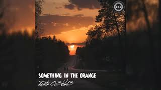 SOMETHING IN THE ORANGE BY ZACH BRYAN (COVER BY JUSTN CR3DIBL3 OF 2MG)