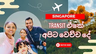 Singapore  Transit එකේ අපිට වෙච්ච දේ | සිංහල vlog | Journey with Sha