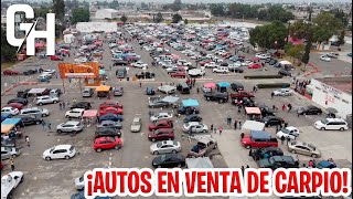 ¡AUTOS EN VENTA DE CARPIO! | Gabo Herrera 14