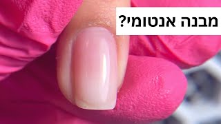 איך עושים מבנה אנטומי? | חיזוק ציפורניים טבעיות