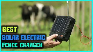 5 Best Solar Electric Fence Chargers for Livestock/Chickens/Dogs/Goats/Horses & Cattle [Review 2022]