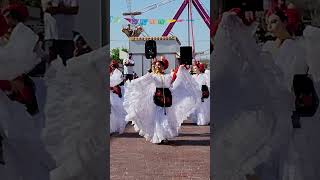 El Huateque! 🌹💃🎶🌸 #huateque #veracruz #bailefolklorico #danzafolklórica #folklorico #vivamexico