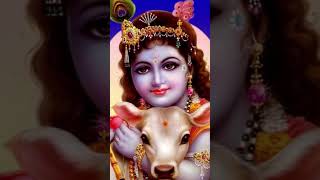 Krishna ji  ♥ Gau Mata 🙏🙏  (Java + PE SMP)   #deen #deenext #janmashtami #krishna #hindu