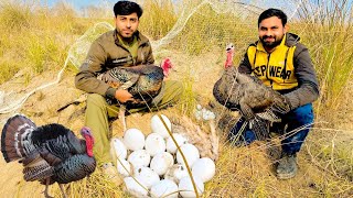 Turkey Birds Pakar Leye Ham Ny || We Caught Turkey Birds🦃 || Natural Wild LifeStyle