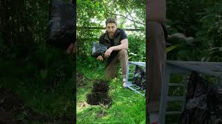 Mushroom Trench Tutorial | Part 1  #ediblemushrooms #mushrooming #urbanfarming #mushroomfarm #nature