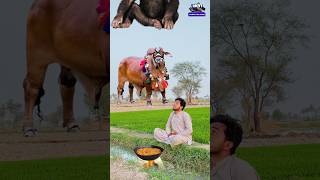 eid munarak || #viral #trending #youtubeshorts #shorts