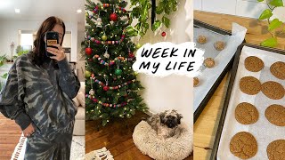 week in my life: decorating the tree, cookies, + giving Sammy a bath