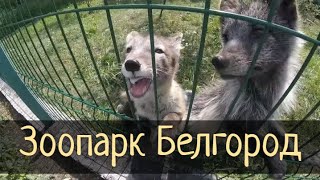 Белгородский Зоопарк. Экзотариум / Субботние Путешествия