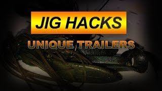 Unique Jig Trailers to Catch More Bass