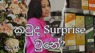 Surprise අවුල් වුන? අවුල් වුනේ නැති? දවසක්. | සිංහල VLOG 45| New Zealand | Sri Lankan | Sinhala vlog