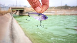 A STRANGE CREATURE Was Living Inside This RAGING SPILLWAY!!! (Second One EVER)