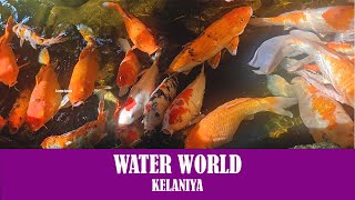 Water World Sri Lanka | Sri Lanka Travel Guide