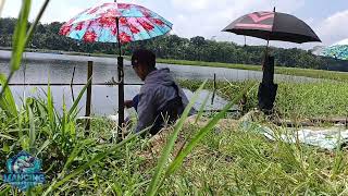 Perjalanan Mancing Nila ke sport VIRALLL Bendungan Mrica Banjarnregara...